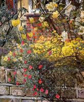 Stanley Spencer - Rock Roses, Old Lodge, Taplow